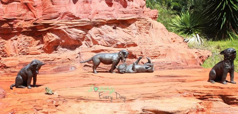 baby wolves