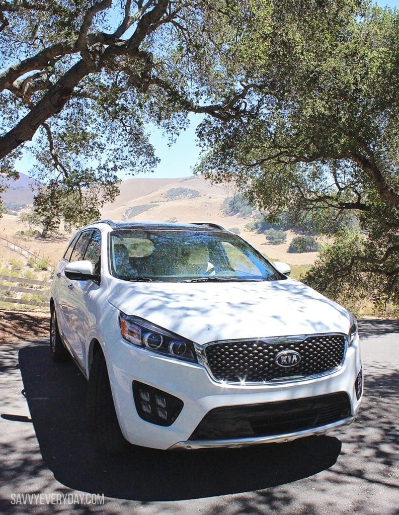 car under trees