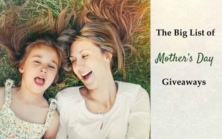 cute little girl and her mother having fun on the grass in sunny