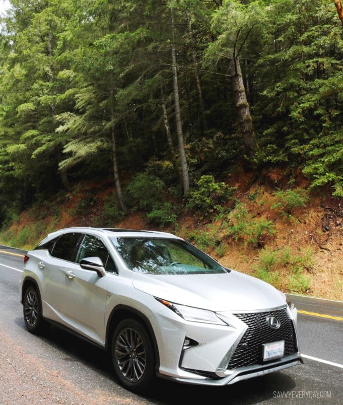 Lexus RX 350 on the road