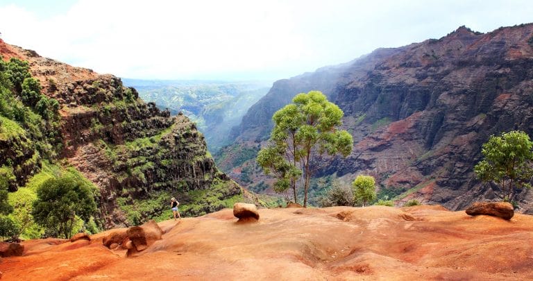 Family Trip: Waimea Canyon, Kaua’i