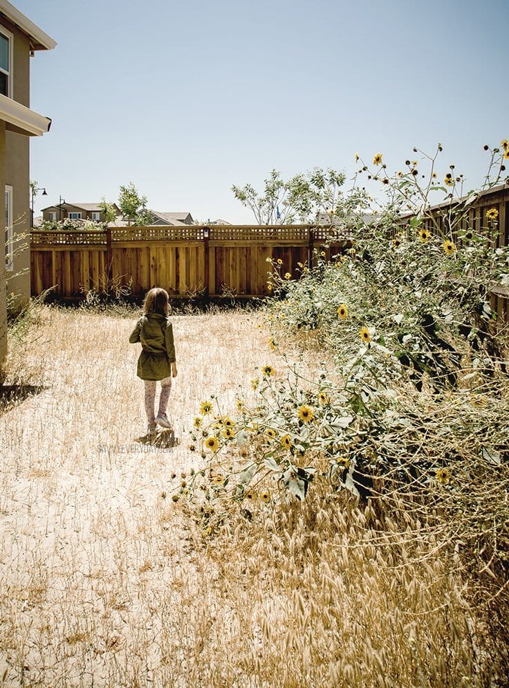 S walking through overgrown yard 