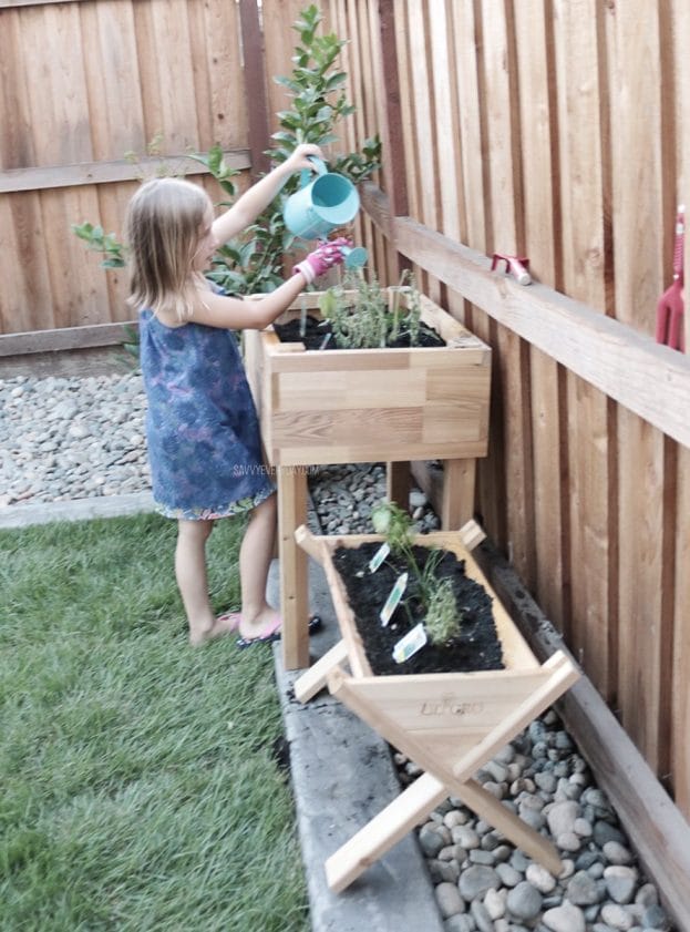 watering plants